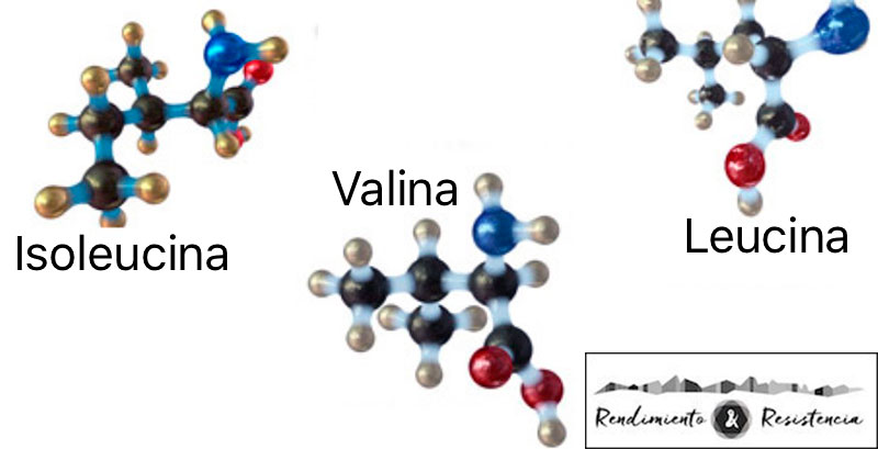 BCAA para ciclismo