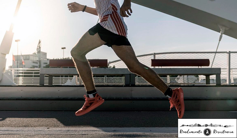 Reto 24h de Kilian Jornet