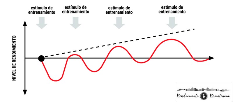 Descansar también es necesario para mejorar
